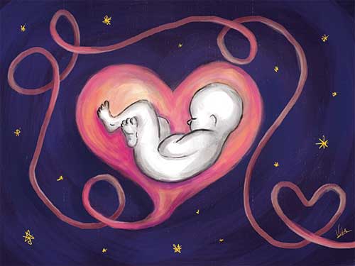 Van je buik naar je hart - tekening baby 18 weken - Vita van der Lijke Van je buik naar je hart - tekening baby 18 weken - Vita van der Lijke